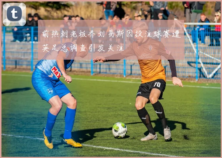 前热刺老板乔刘易斯因投注球赛遭英足总调查引发关注