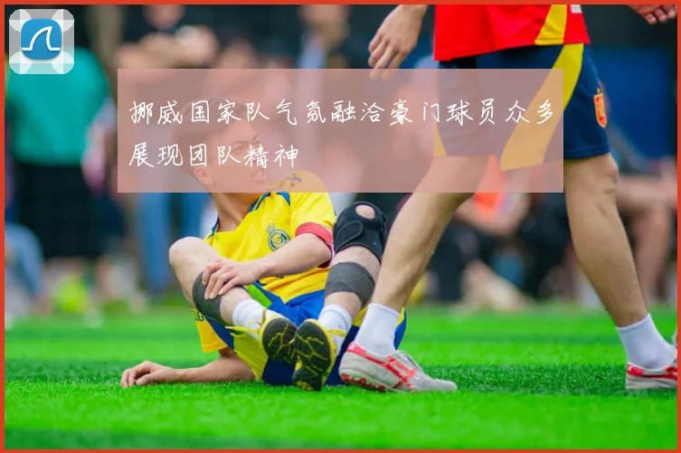 挪威国家队气氛融洽豪门球员众多展现团队精神