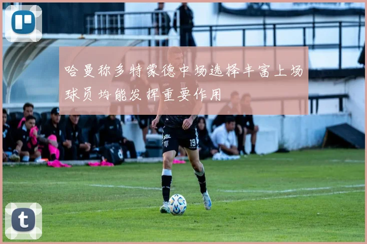 哈曼称多特蒙德中场选择丰富上场球员均能发挥重要作用